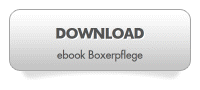 Kontaktformular ebook Boxerpflege